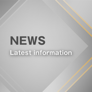 Announcement on the Strengthening of SoC Development Services